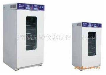 250D型恒温光照培养箱 